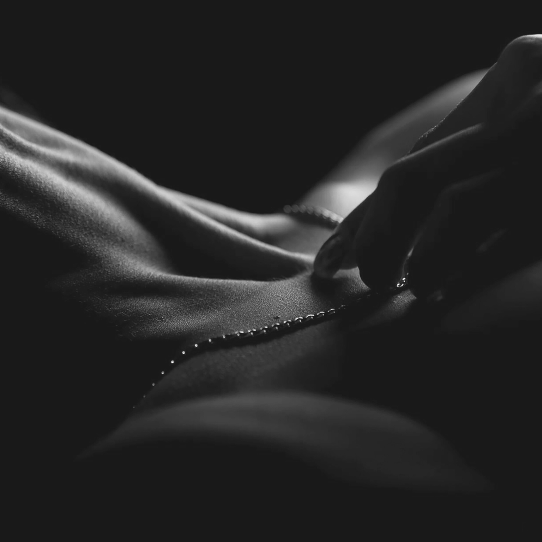 Dark Why Choose Gang