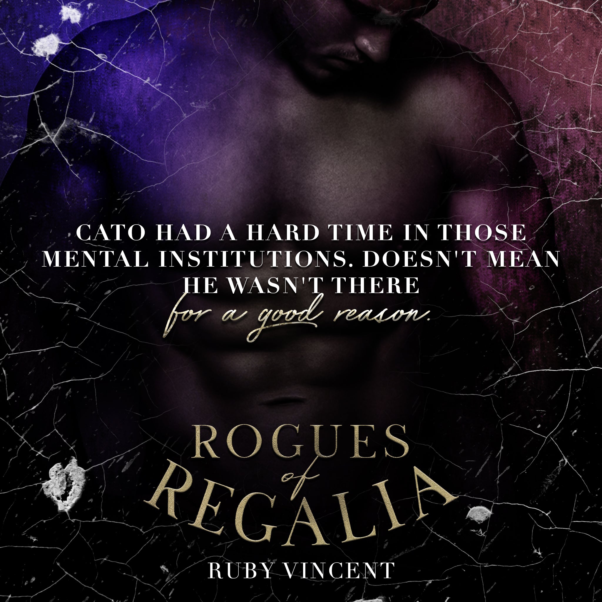 The Rogues Complete Special Edition Omnibus